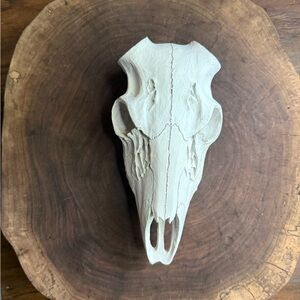 Decorative ELK Skull Wall Art